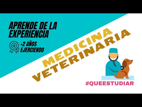 ✅ Carrera de Veterinaria: experiencias, mitos y consejos